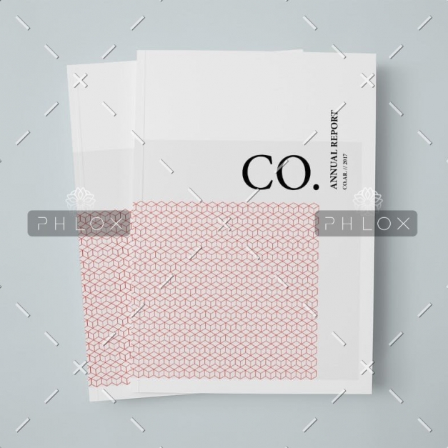 demo-attachment-216-CO.-Annual-Report-1